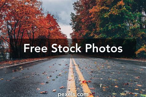 pexels.com copyright free video download|Free No Copyright Videos, Download The BEST Free 4k Stock。